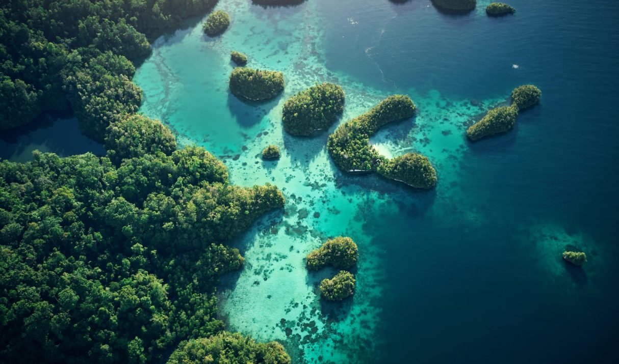 Sublimez votre beauté avec Black Beauty Diary.