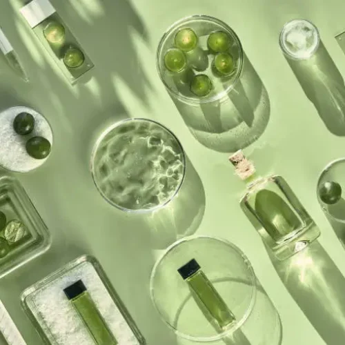 istockphoto-1305974529-612x612